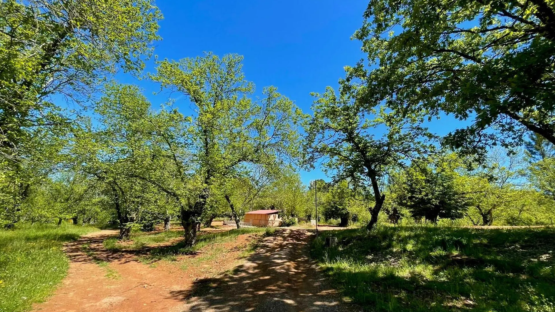 Campsite Camping El Madronal Fuenteheridos