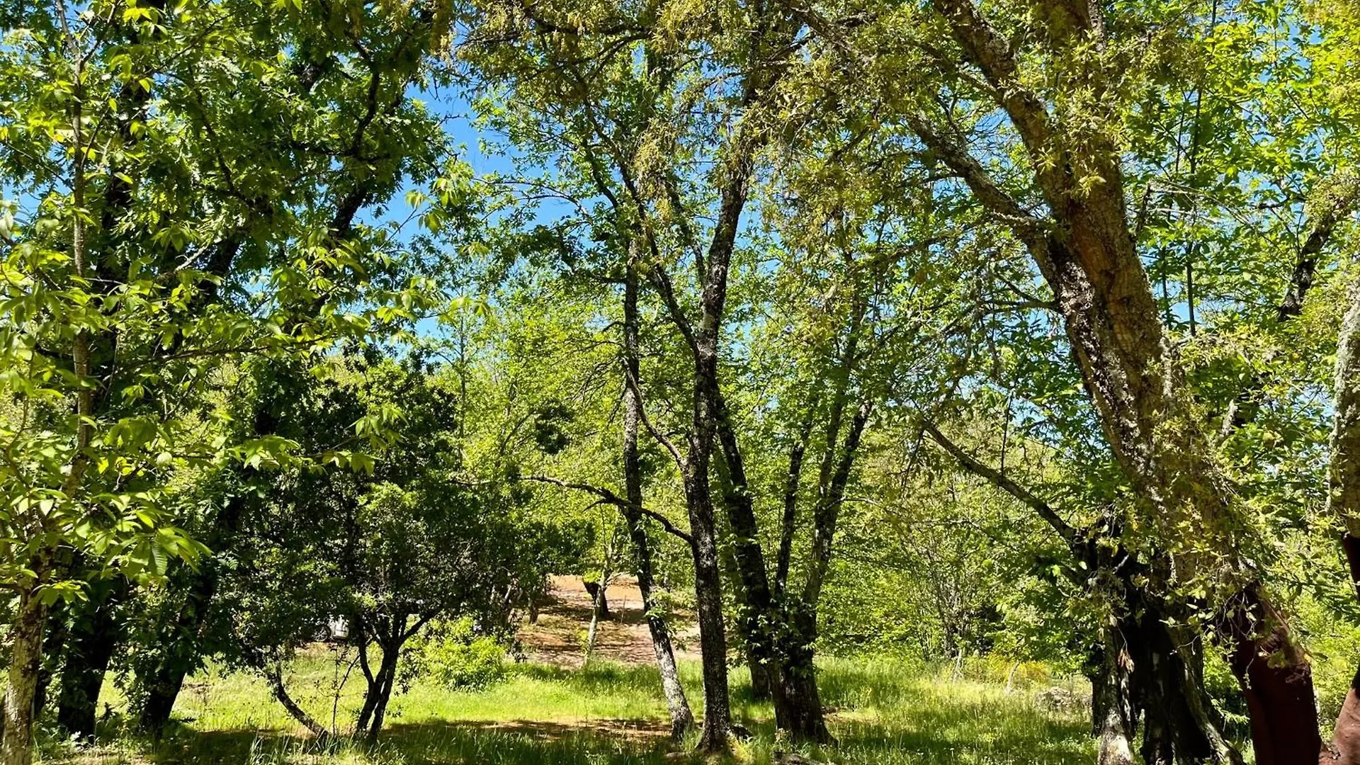 Camping El Madronal Fuenteheridos
