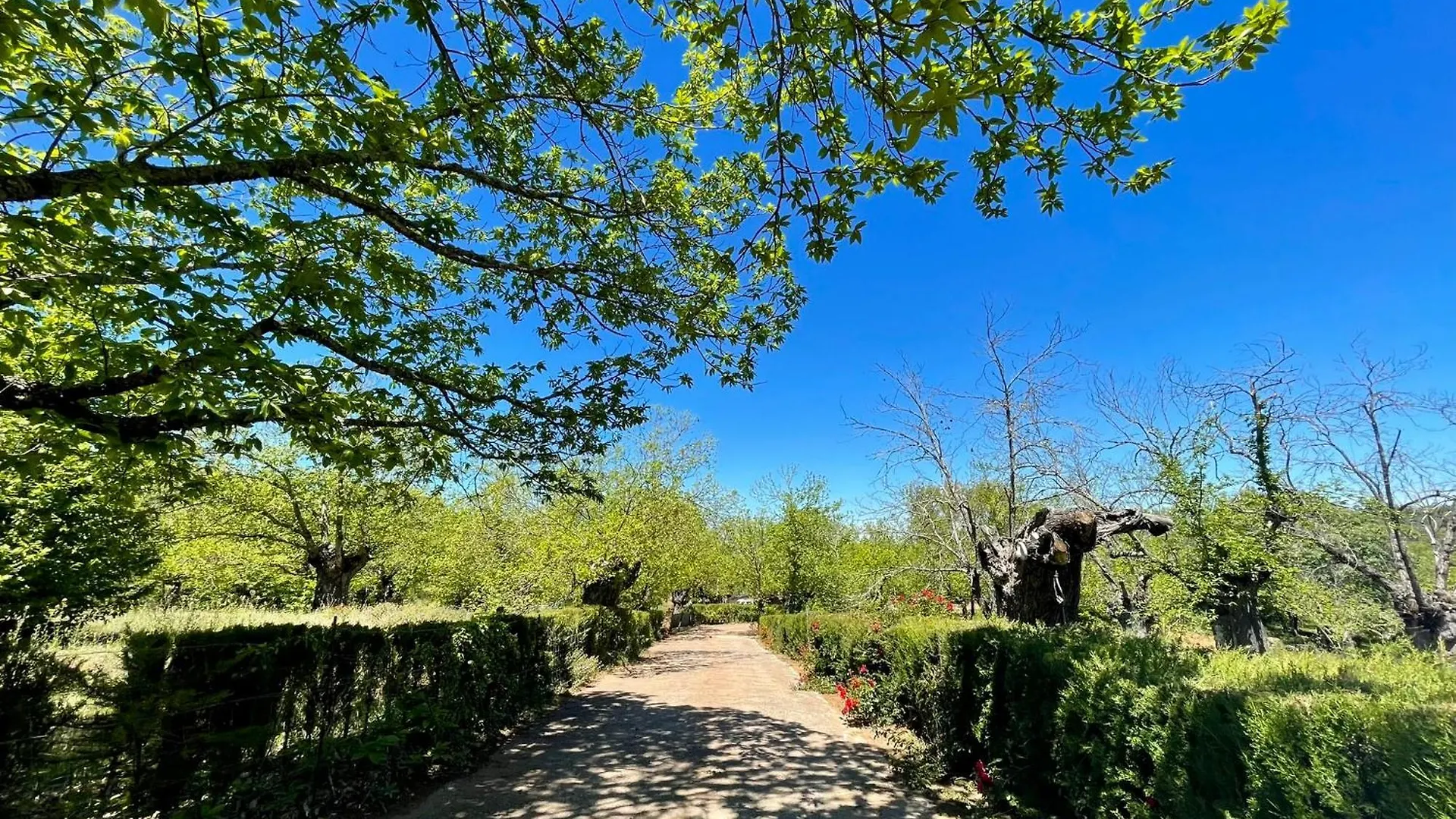 Camping El Madronal 푸엔테에리도스