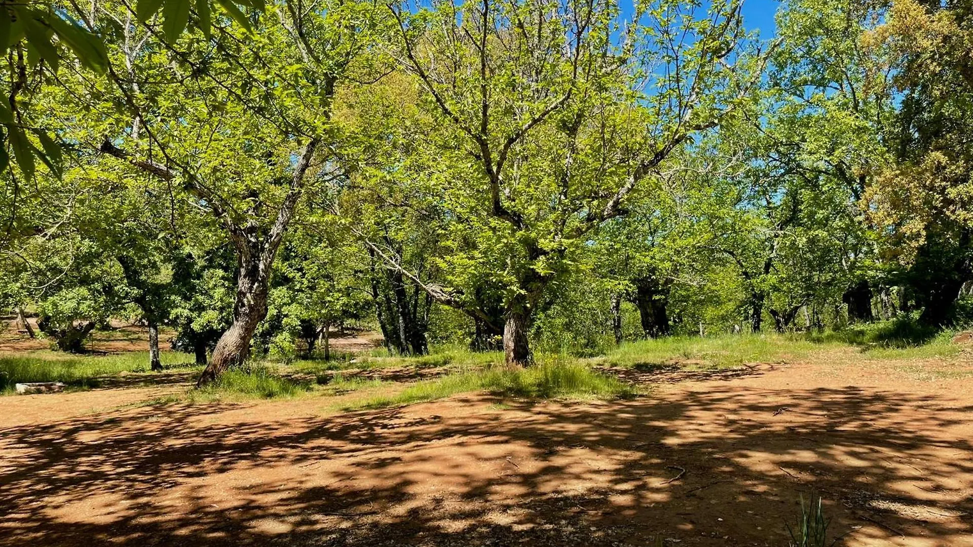 Campsite Camping El Madronal Fuenteheridos
