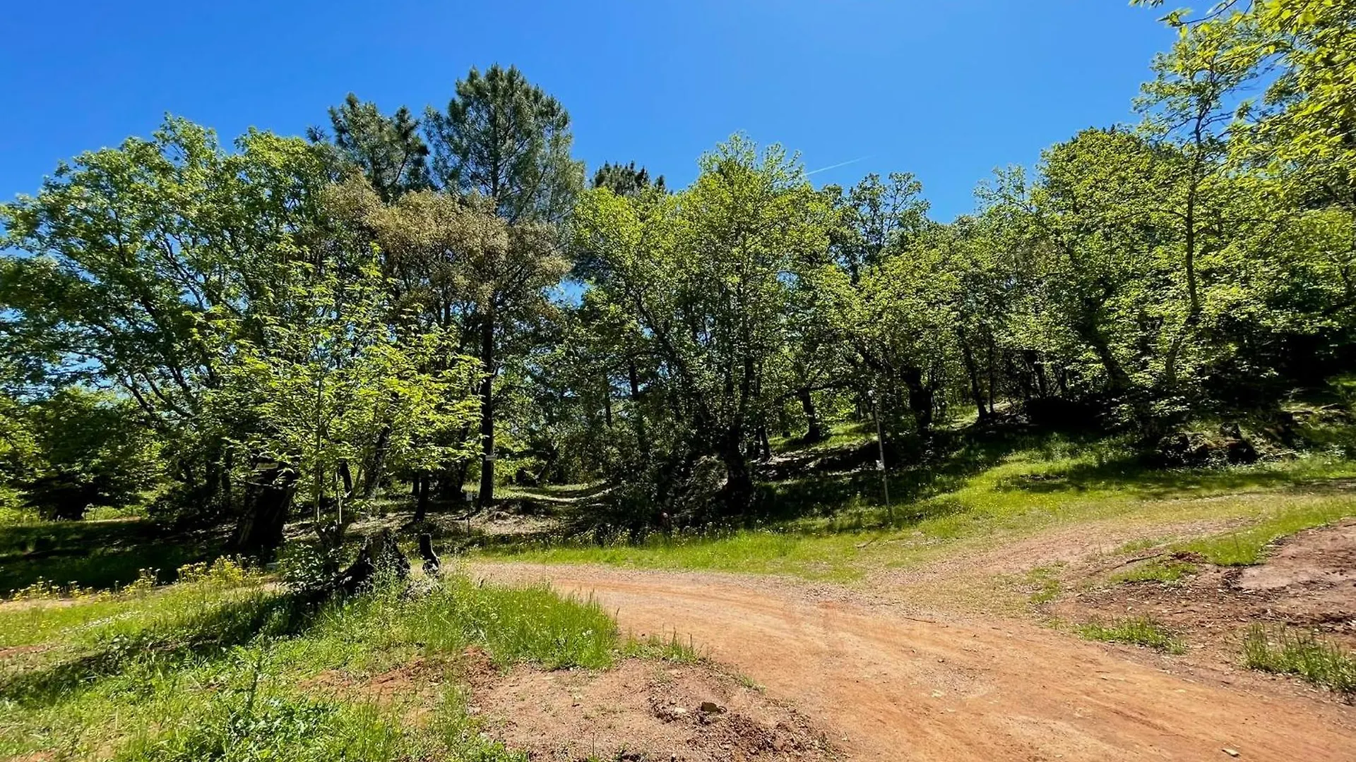 Camping El Madronal Fuenteheridos Campsite