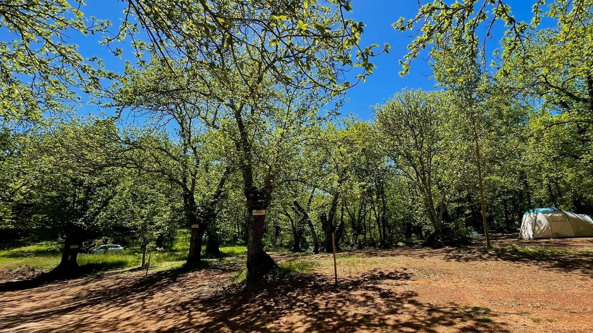 Campsite Camping El Madronal Fuenteheridos