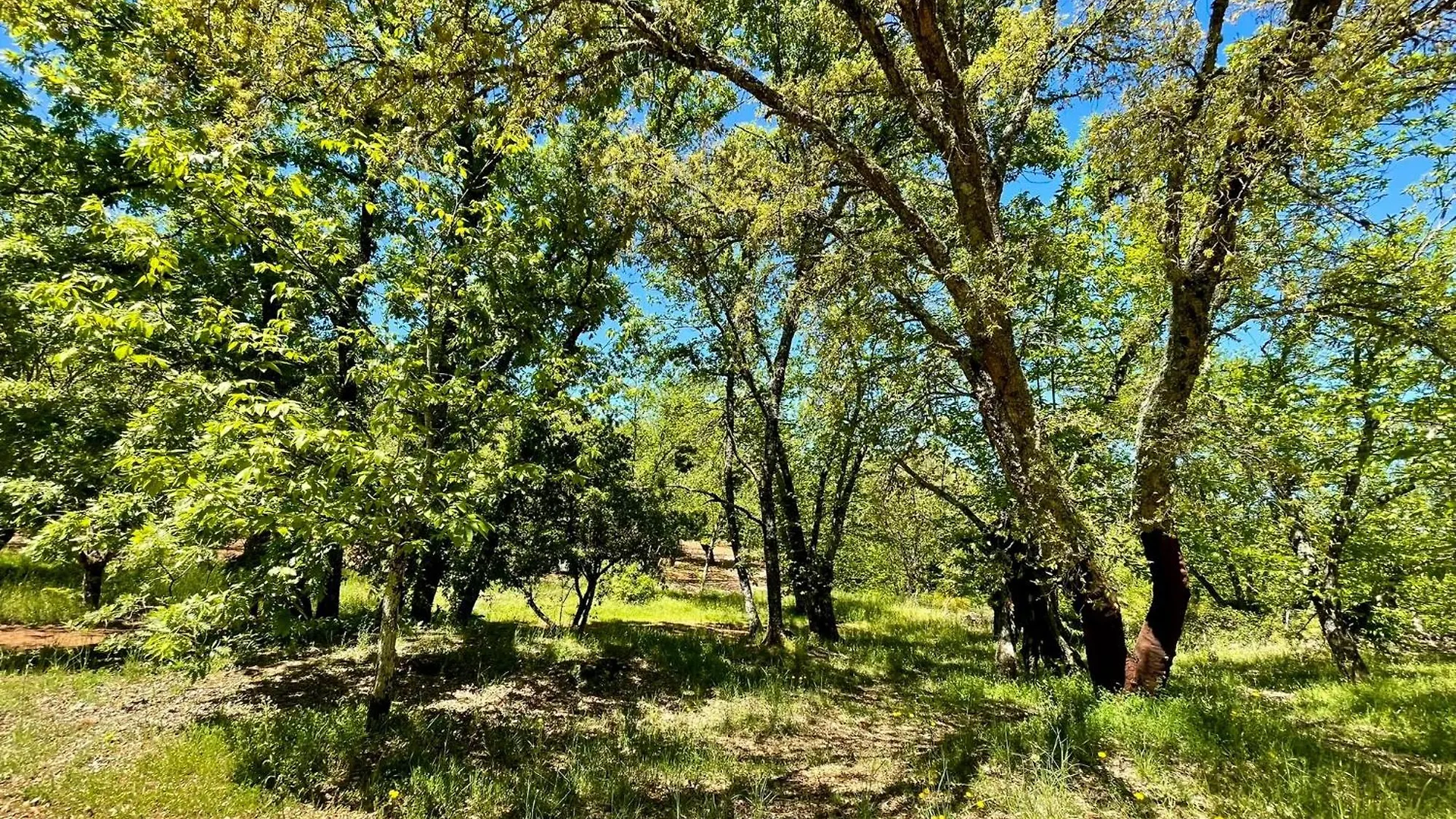 Camping El Madronal Fuenteheridos Spain