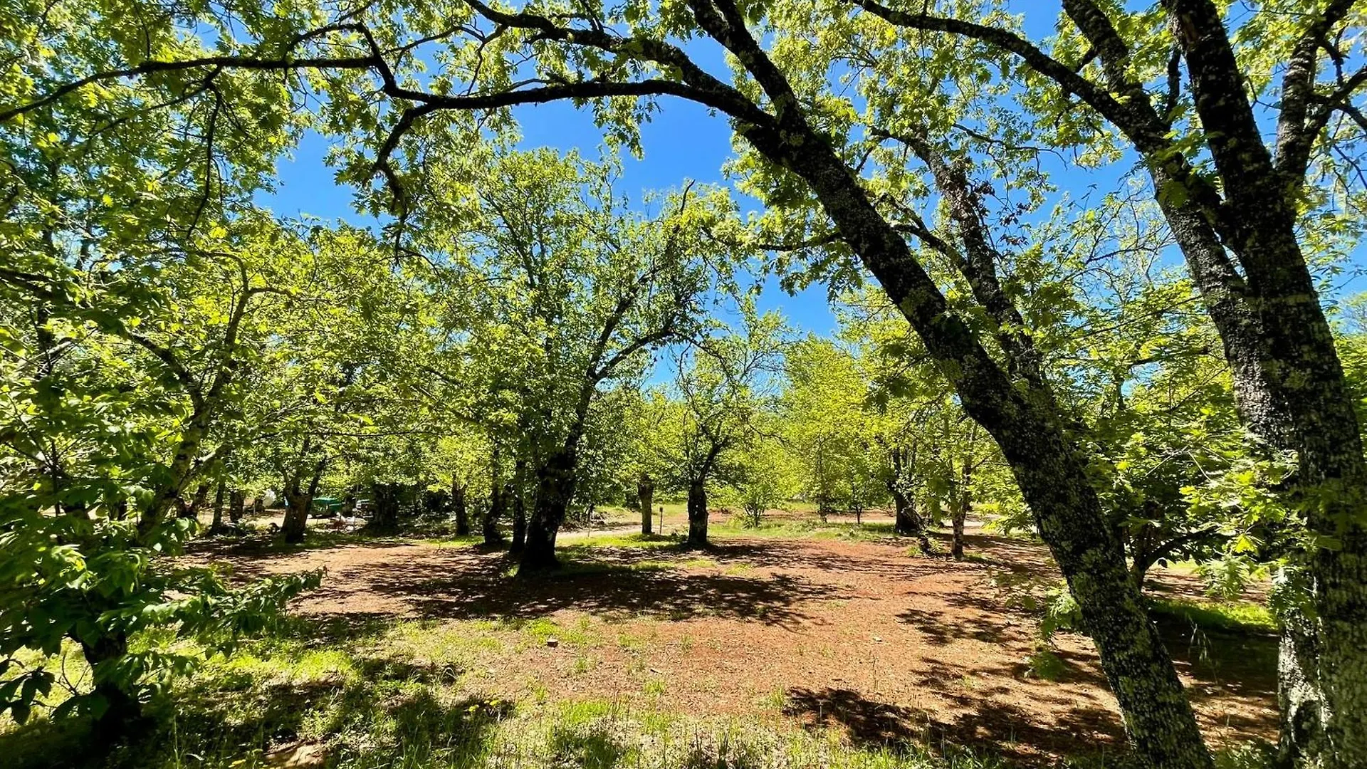 Camping El Madronal Fuenteheridos Kamp alanı