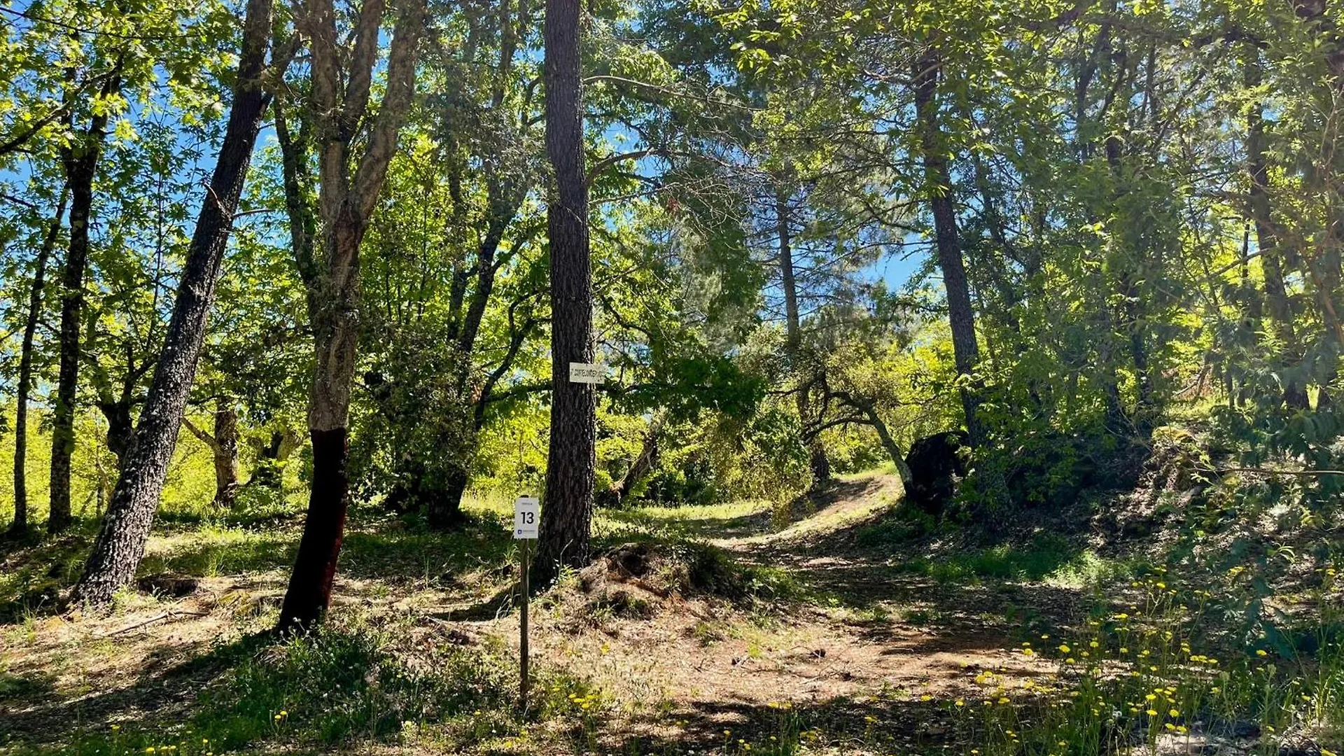 Camping El Madronal Fuenteheridos 0*,  İspanya