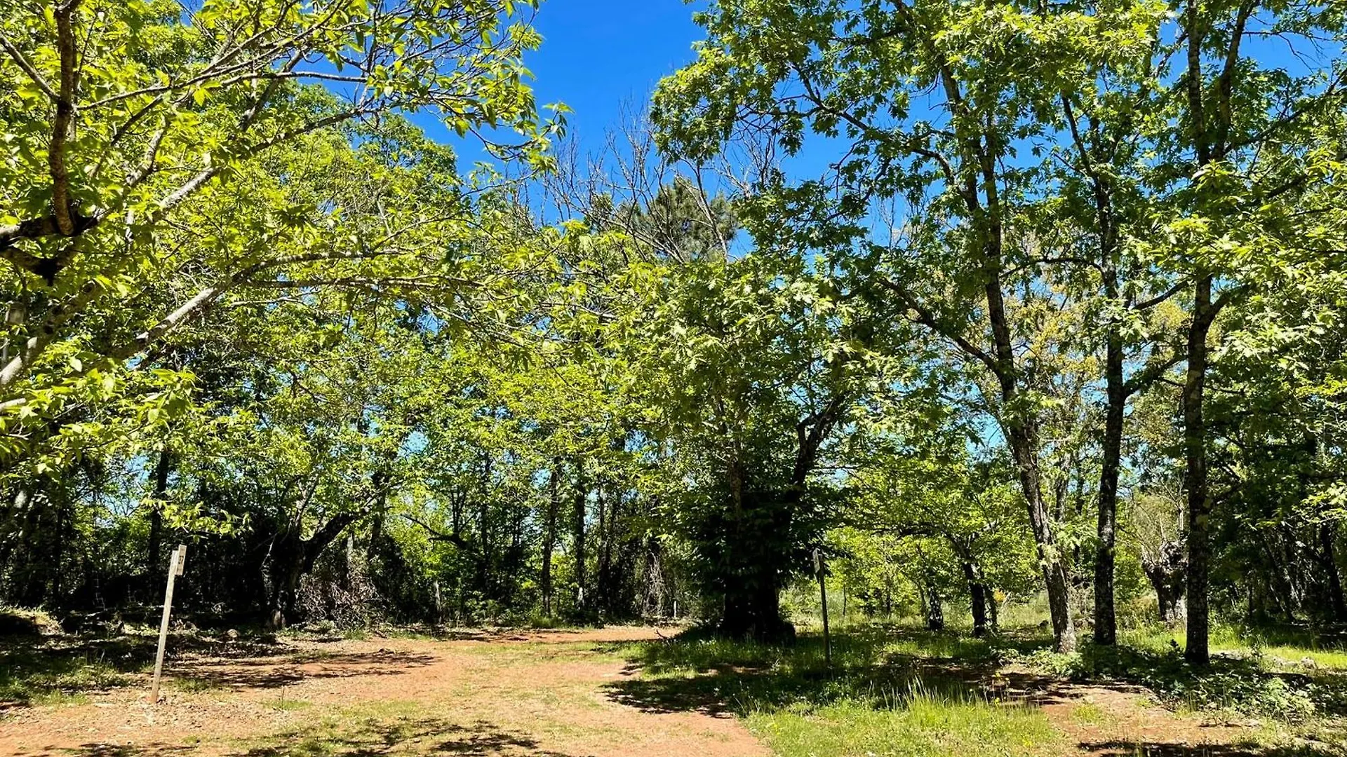 Kamp alanı Camping El Madronal Fuenteheridos İspanya