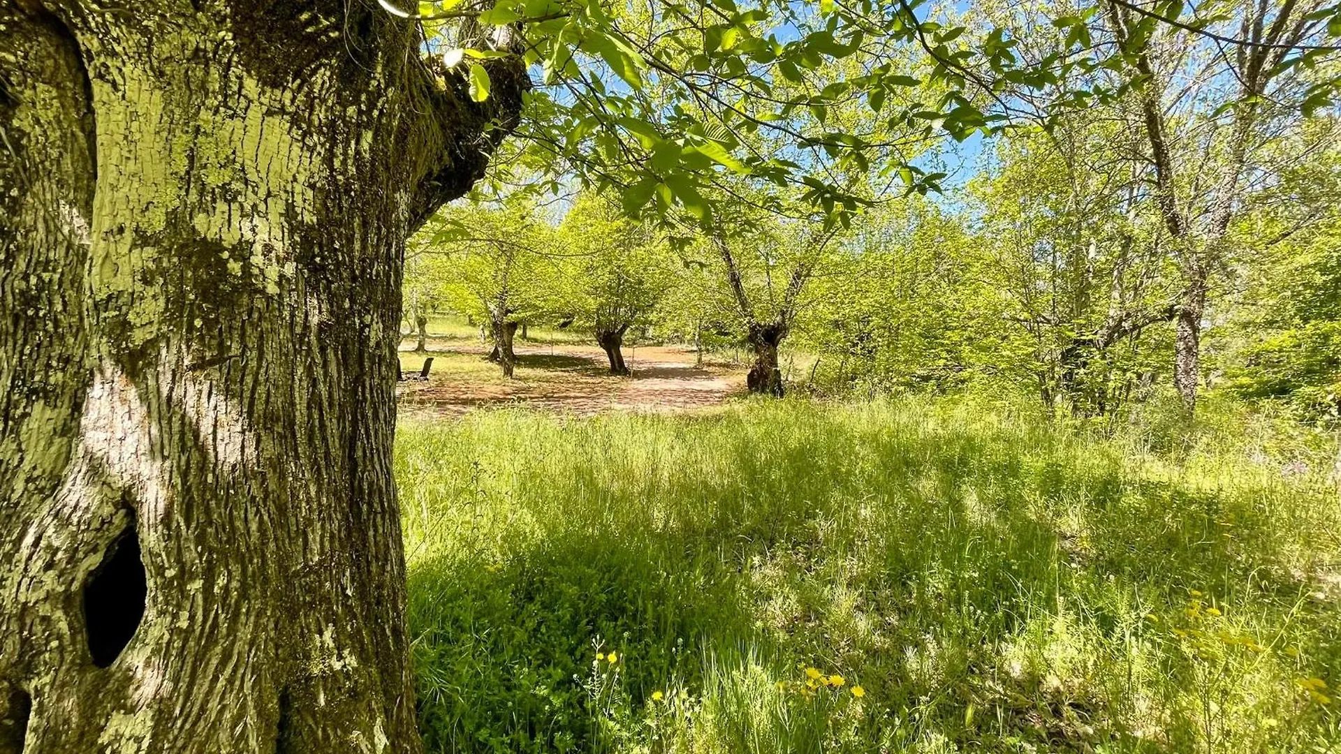 Kamp alanı Camping El Madronal Fuenteheridos
