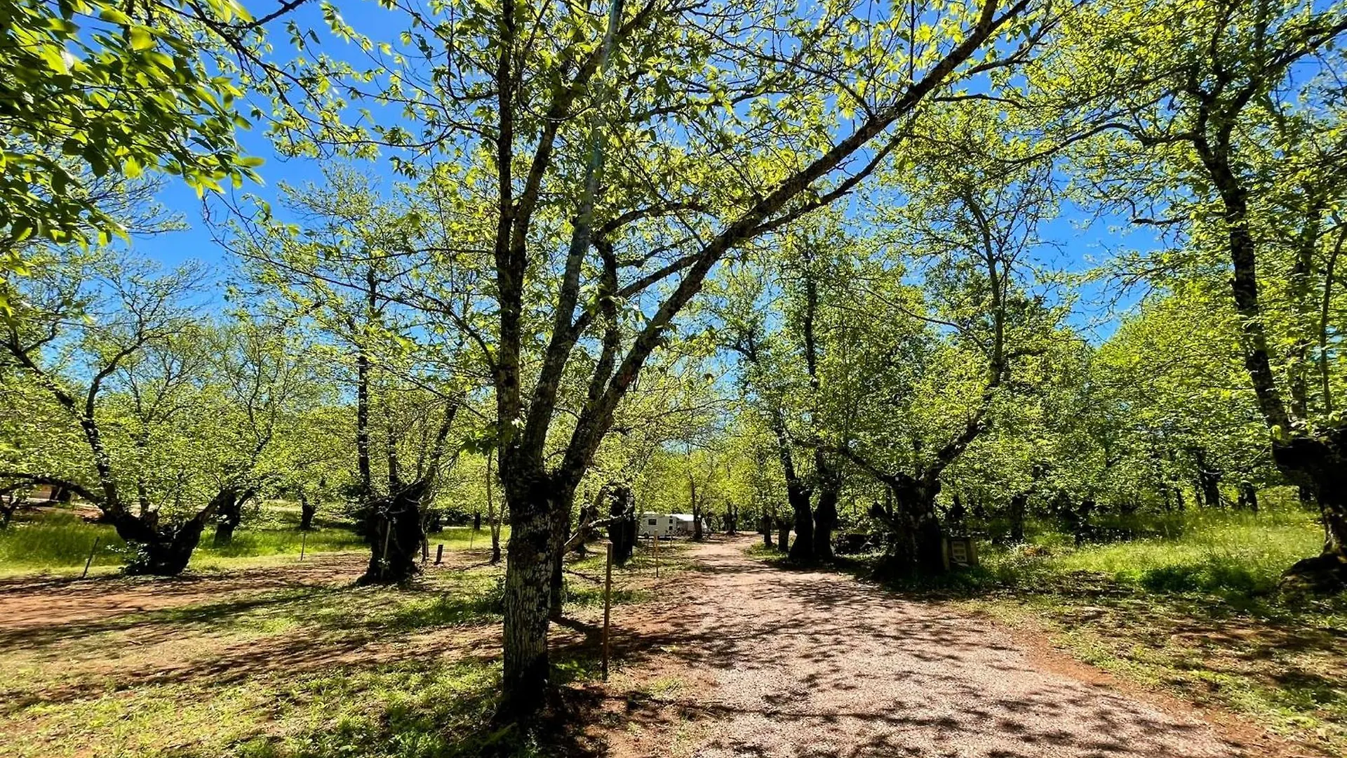 Kamp alanı Camping El Madronal Fuenteheridos