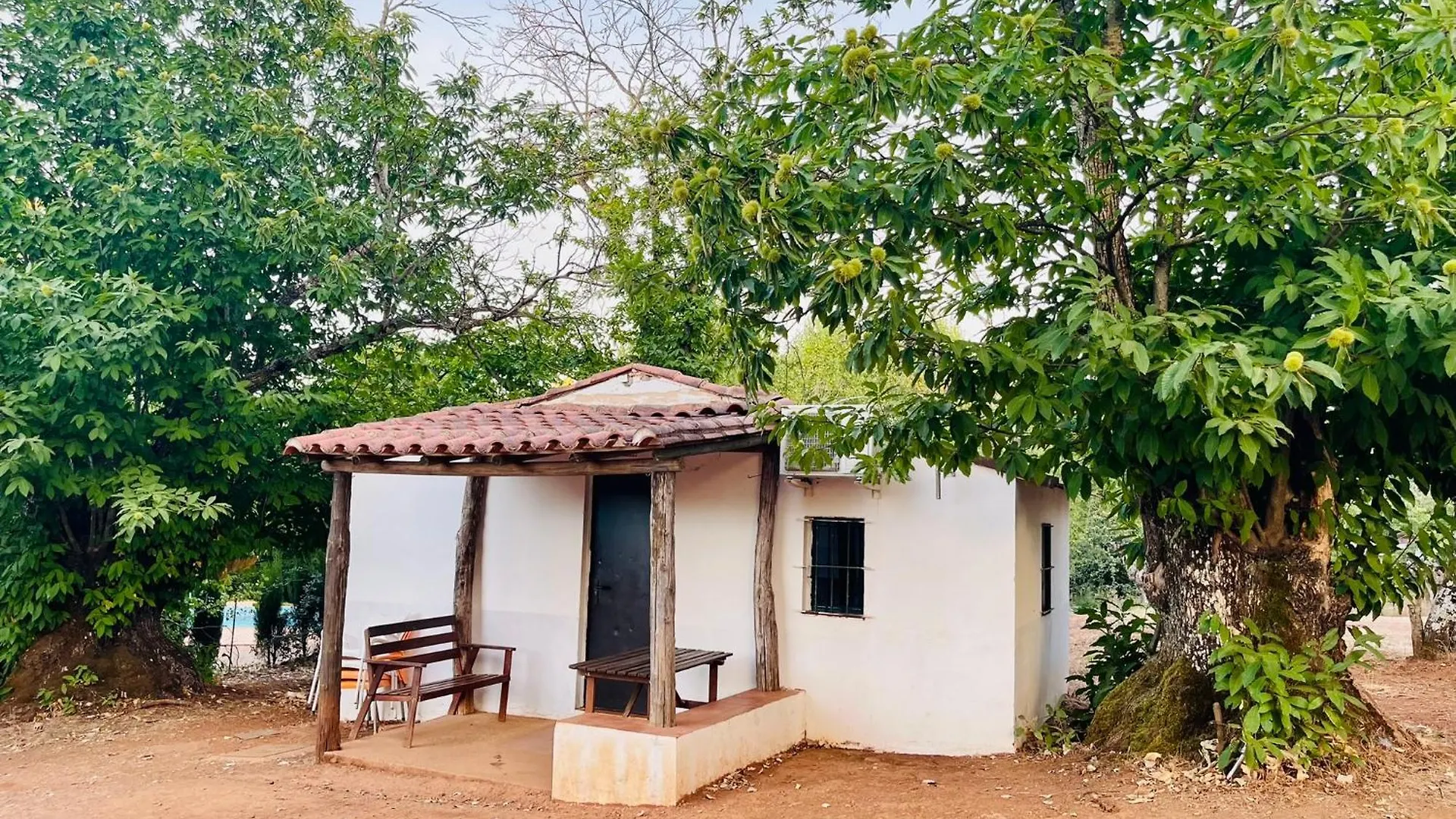Kamp alanı Camping El Madronal Fuenteheridos İspanya